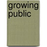 Growing Public door Peter Lindert