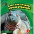 Hippopotamuses