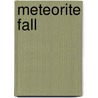 Meteorite Fall door Ronald Cohn