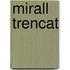 Mirall trencat