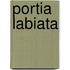 Portia Labiata