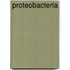 Proteobacteria