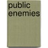 Public Enemies