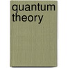 Quantum Theory door Mihai V. Putz