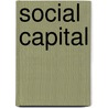 Social Capital door Ronald S. Burt
