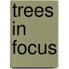 Trees in Focus by Marina Silva