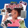 What Is Sight? door Paula Smith