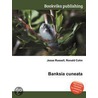 Banksia Cuneata by Ronald Cohn