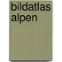 Bildatlas Alpen