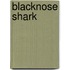 Blacknose Shark