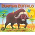 Bumping Buffalo