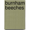 Burnham Beeches by Francis George Heath