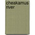 Cheakamus River