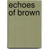 Echoes of Brown