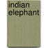 Indian Elephant