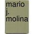 Mario J. Molina