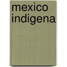 Mexico Indigena by Ronald Cohn
