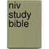 Niv Study Bible