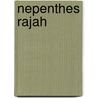 Nepenthes Rajah door Ronald Cohn