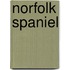 Norfolk Spaniel
