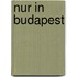 Nur in Budapest