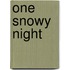 One Snowy Night