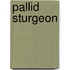Pallid Sturgeon