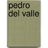 Pedro Del Valle