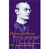 Peter Camenzind door Michael Roloff