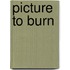Picture to Burn