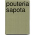 Pouteria Sapota