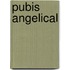 Pubis angelical