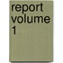 Report Volume 1