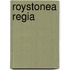 Roystonea Regia