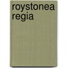 Roystonea Regia by Ronald Cohn