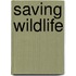 Saving Wildlife