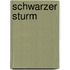 Schwarzer Sturm