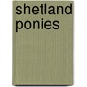 Shetland Ponies by Kristen Rajczak