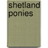 Shetland Ponies