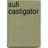 Sufi Castigator