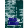 Trial and Error door Yagil Levy