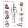 Vascular System by Scientific Publishing