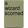 A Wizard Scorned by Patricia White