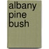 Albany Pine Bush