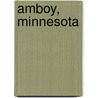 Amboy, Minnesota door Nethanel Willy