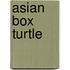 Asian Box Turtle