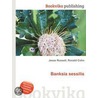 Banksia Sessilis by Ronald Cohn