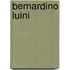 Bernardino Luini