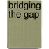 Bridging The Gap