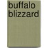 Buffalo Blizzard